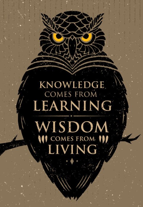 Poster Kennis komt uit Learning. Wijsheid komt van Living. Inspirerende Creative Motivatie Quote. Owl Vector Banner