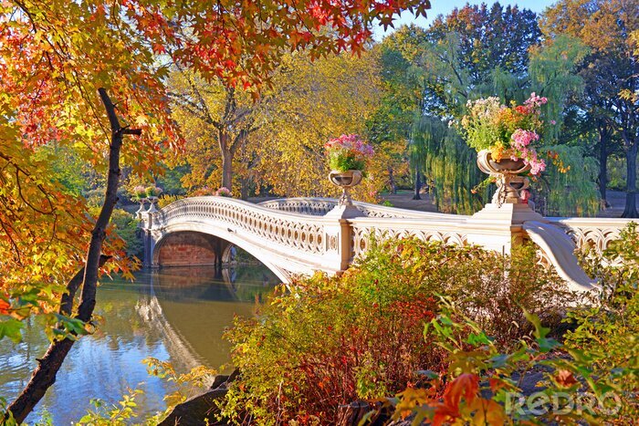 Poster Kleuren van de herfst - fall gebladerte in Central Park, Manhattan, New York