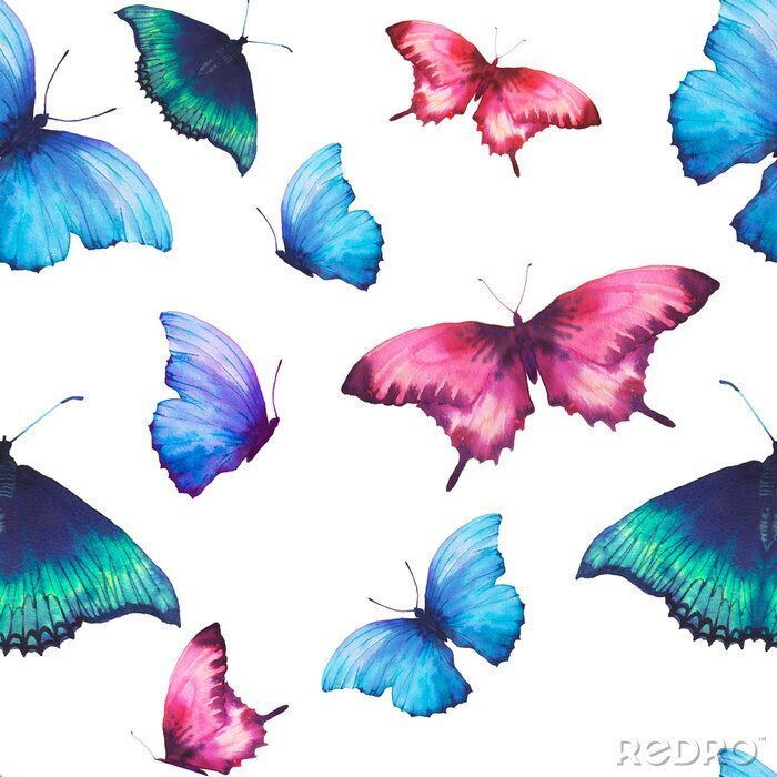 Poster Kleurrijke grote vlinders op een witte achtergrond