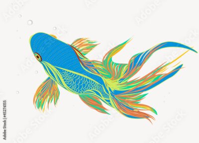 Poster Kleurrijke koikarpers