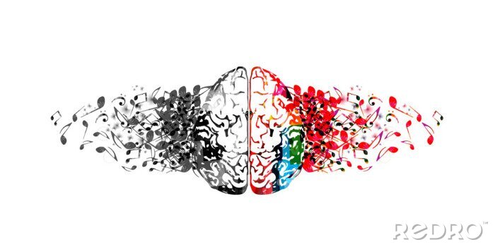 Poster Kleurrijke menselijke hersenen met muzieknota's geïsoleerd vector illustratieontwerp. Artistieke muziekfestivalaffiche, live concert, creatief muzieknotenontwerp