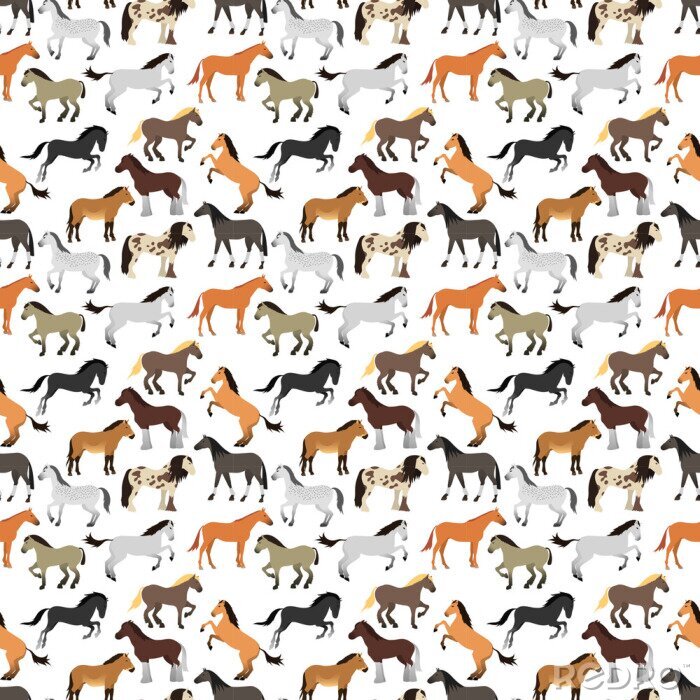 Poster Kleurrijke paarden op een witte achtergrond