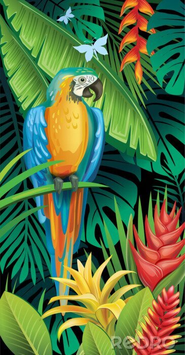 Poster Kleurrijke papegaai op de achtergrond van de jungle