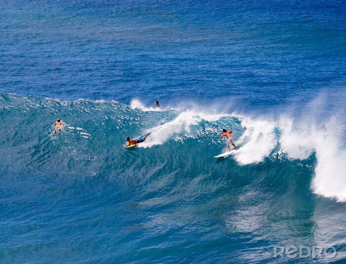 Poster Kleurrijke sport in Hawaii