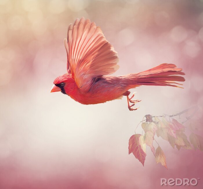 Poster Kleurrijke vogel op een roze achtergrond