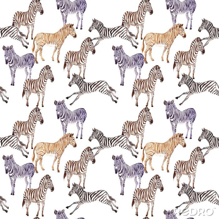 Poster Kleurrijke zebrastrepen