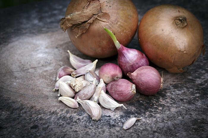 Poster Knoflook en uien