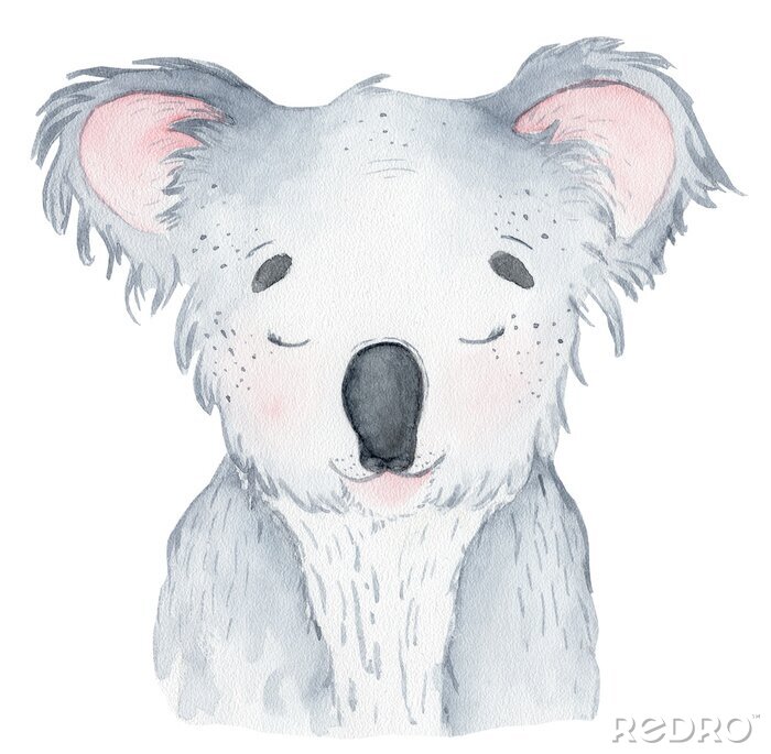 Poster Koala met toegeknepen ogen in pastelkleuren