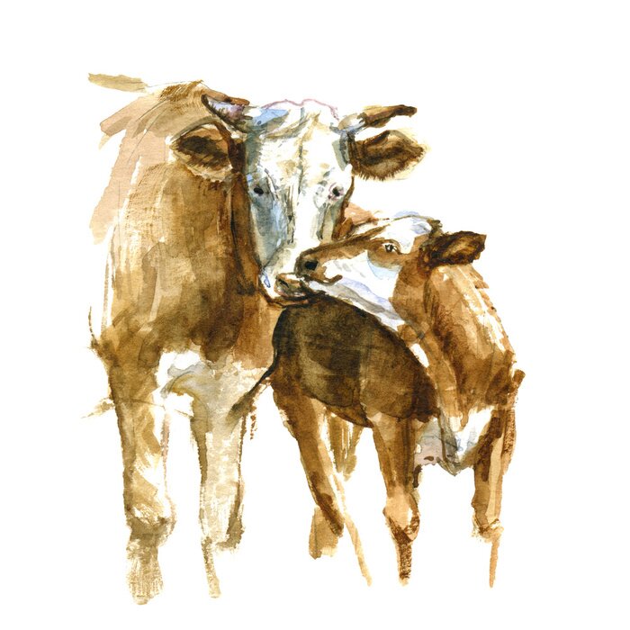 Poster Koeienfamilie