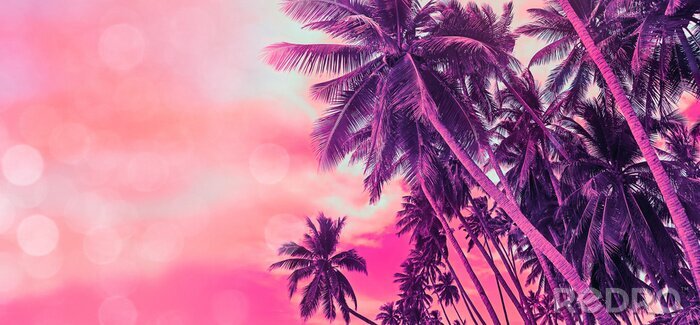 Poster Kokospalmen op een exotisch strand
