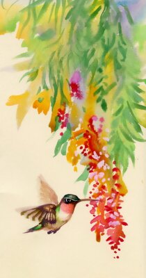 Kolibrie die naar de bloemen vliegt