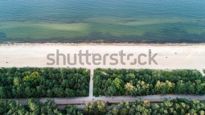 Posters Kust en groene bomen vanuit bovenaanzicht. Hij is in Polen, Oostzee.