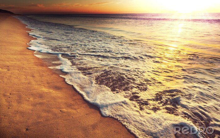 Poster Kust in de wildernis