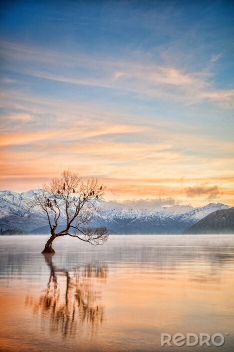 Poster Lake Wanaka Otago Nieuw-Zeeland
