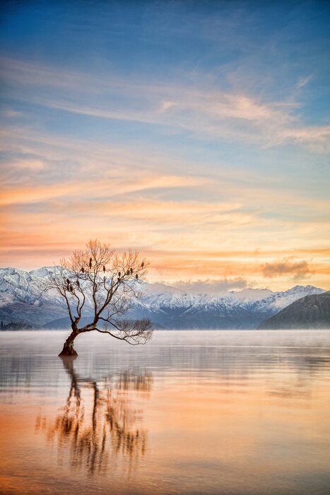 Poster Lake Wanaka Otago Nieuw-Zeeland