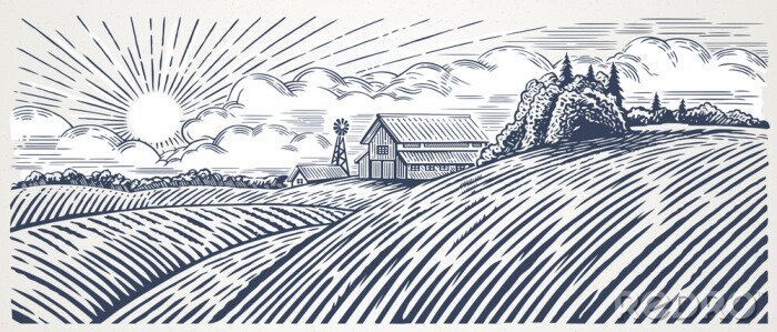 Poster Landelijk landschap met een boerderij in gravure stijl. Hand getekend en omgezet in vectorillustratie