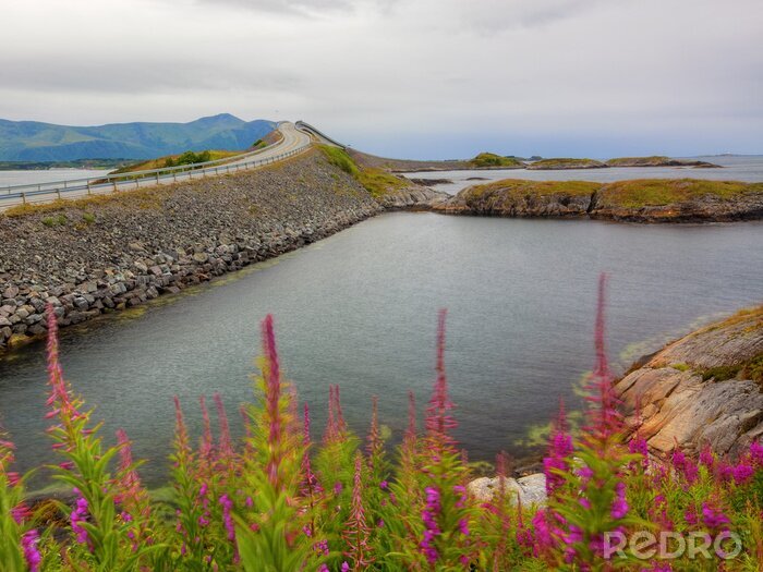 Poster Landschap met de Atlantische Weg