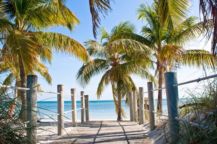 Poster Landschap met de weg naar het strand