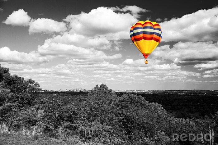 Poster Landschap met een ballon
