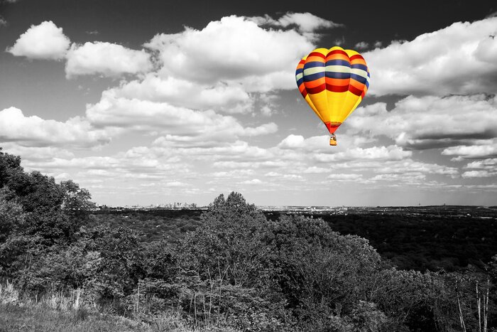 Poster Landschap met een ballon