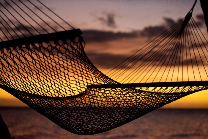 Poster Landschap met een hangmat