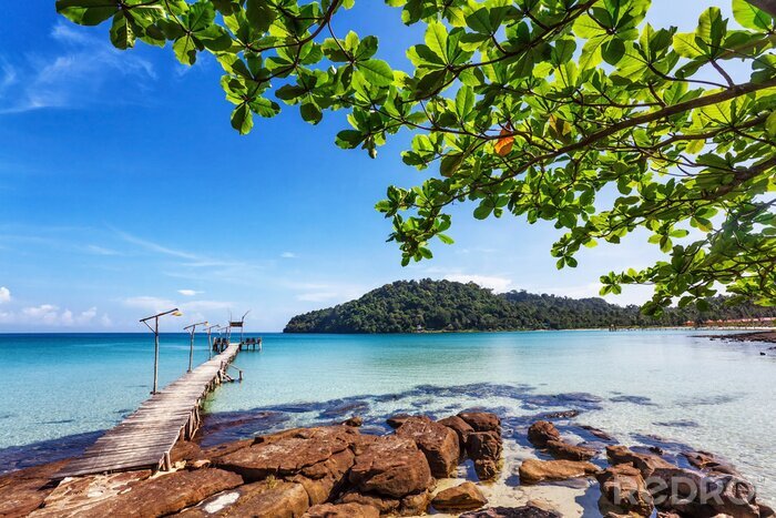 Poster Landschap met een houten pier