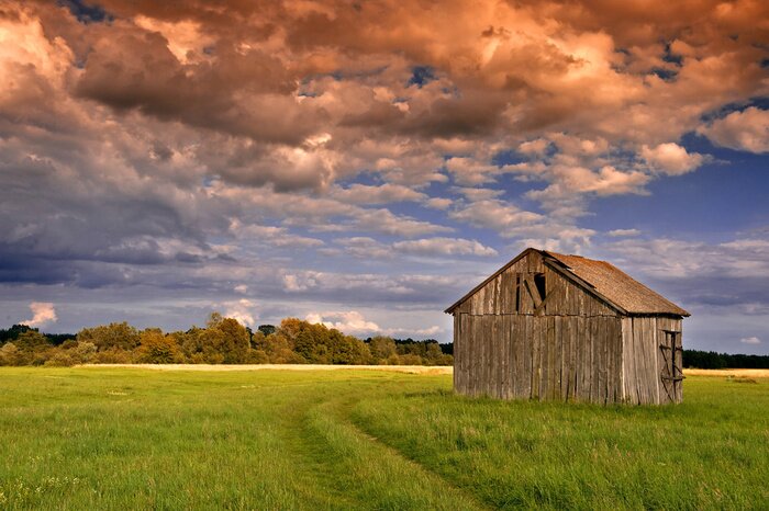 Poster Landschap met een houten schuur