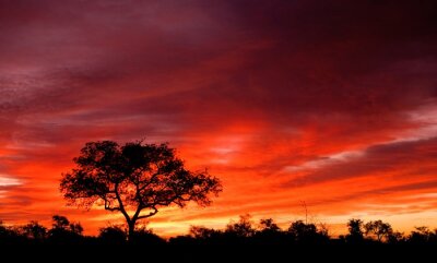 Landschap met zonsondergang in Afrika