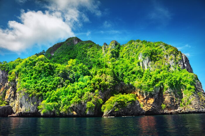 Poster Landschap van een eiland bedekt met bomen