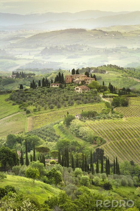 Poster Landschap van Toscane vanaf een heuvel