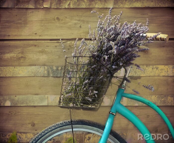 Poster Lavendel in een fietsmand