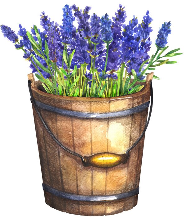 Poster Lavendel in een houten emmer