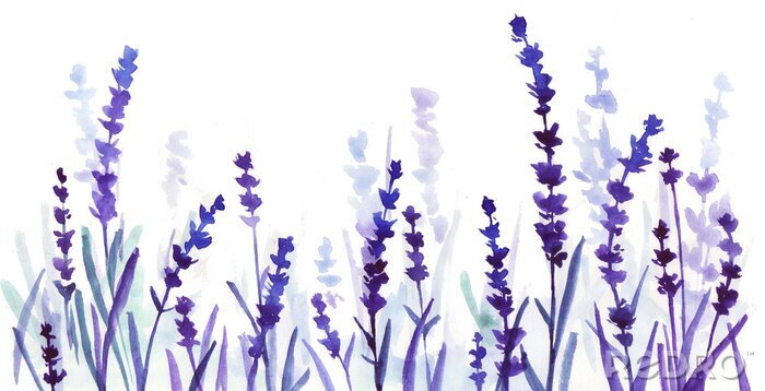 Poster Lavendel valt in tinten van saffier