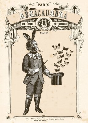 Poster Le Lapin magicien