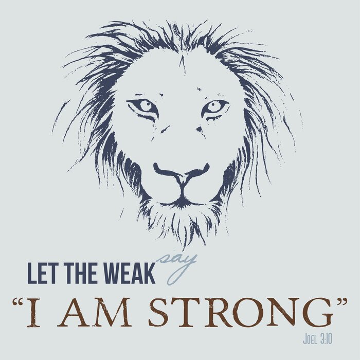 Poster Leeuwafbeeldingen en typografisch accent