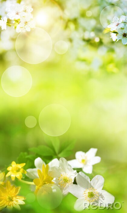 Poster Lente landschap met kleine bloemen