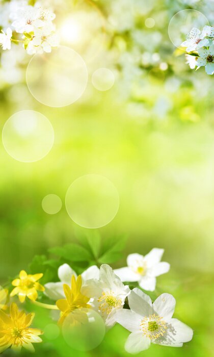 Poster Lente landschap met kleine bloemen