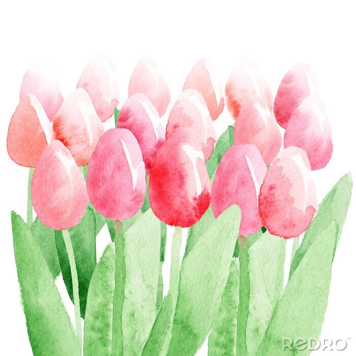 Poster Lente romantische aquarel tulpen