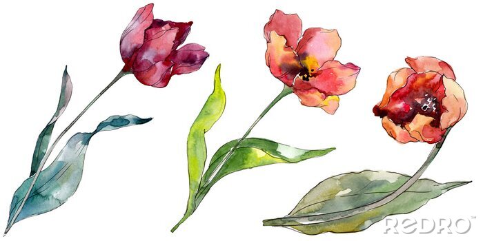 Poster Lente tulpen geschilderd met waterverf