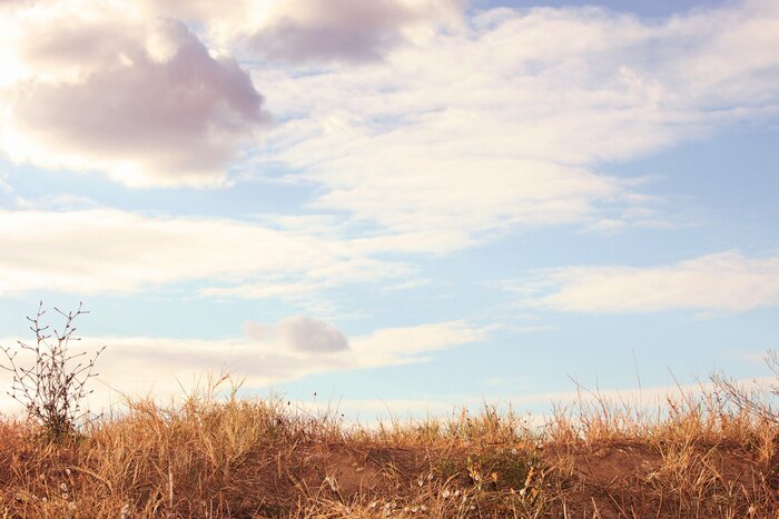 Poster Lente weide landschap