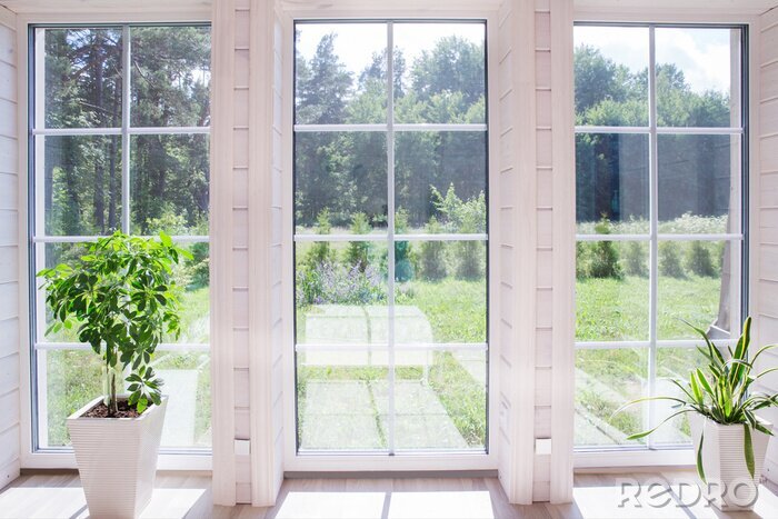 Poster Licht interieur van de kamer in een houten huis met een groot raam met uitzicht op de zomerse binnenplaats. Zomer landschap in witte venster. Huis en tuinconcept. Kamerplant Sansevieria trifasciata