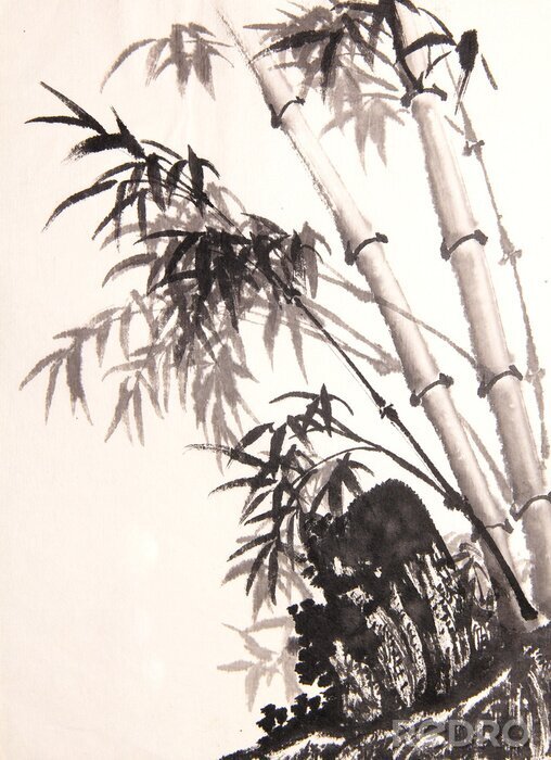 Poster Lichte bamboe met donkere takken