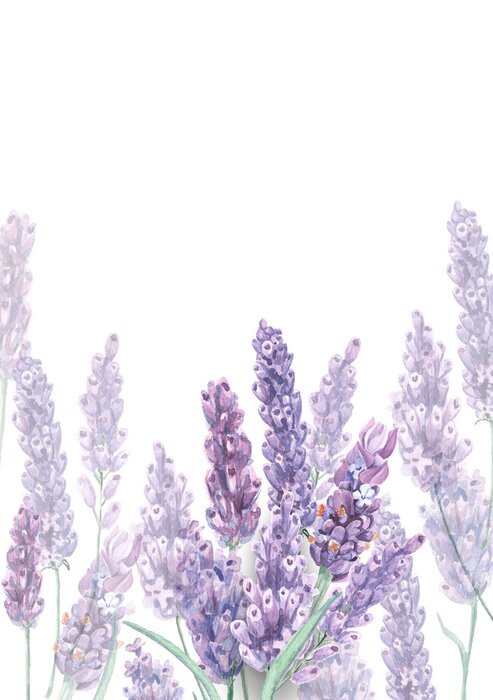 Poster Lichtjes vervaagde pastelkleurlavendel