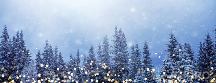 Poster Lichtreflecties tegen de achtergrond van een winterbos