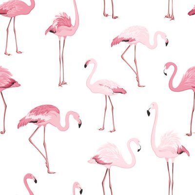 Lichtroze flamingo's op een motief met een witte achtergrond