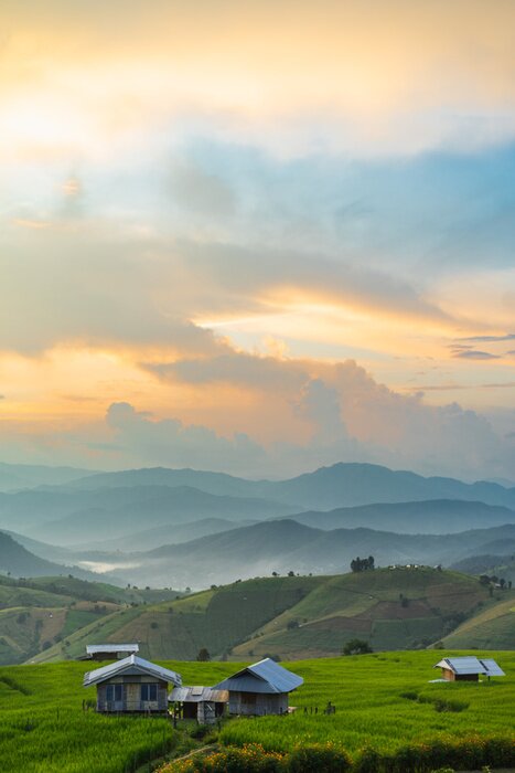 Poster Little Cottage in Terraced Rice Fields