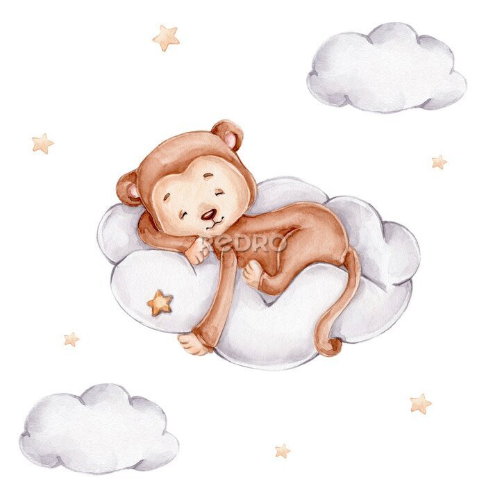 Poster Little monkey sleeps on cloud; watercolor hand drawn illustration; with white isolated background