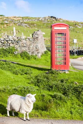 Poster Londens landschap met telefooncel en schapen