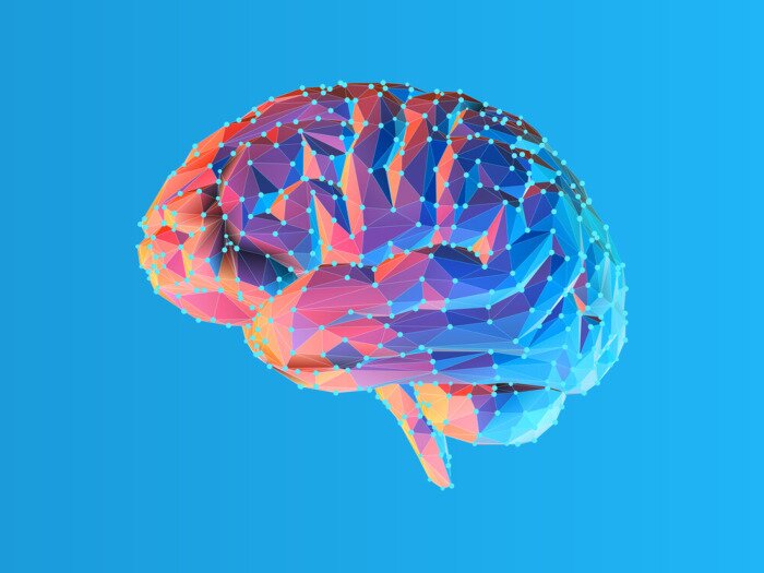 Poster Low poly brain illustration isolated on blue BG