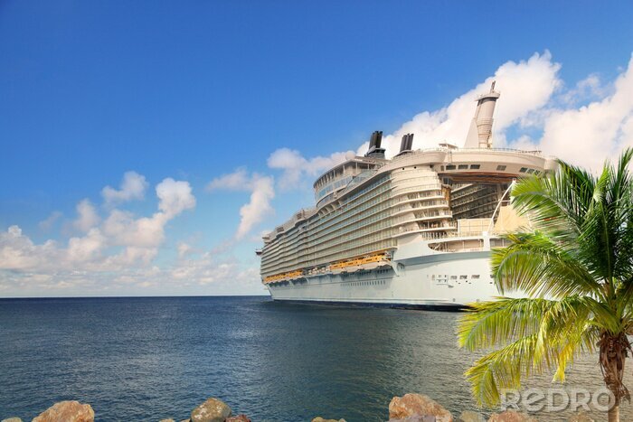 Poster Luxury Cruise Ship Sailing from Port